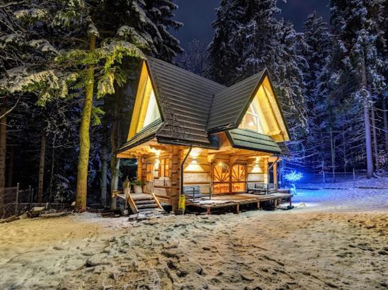 Chata Pod Nosalem - Domek Z Jacuzzi Z Bala W Zakopanym Zakopane Extérieur photo